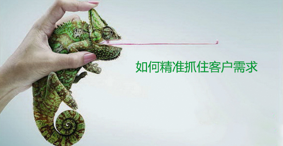 NG大舞台-有梦你就来
公司如何精准抓住客户需求